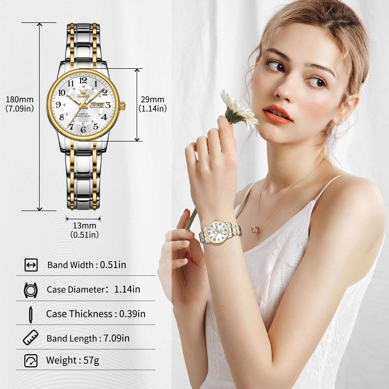 Two-Tone Arabic Numeral Dress Watch